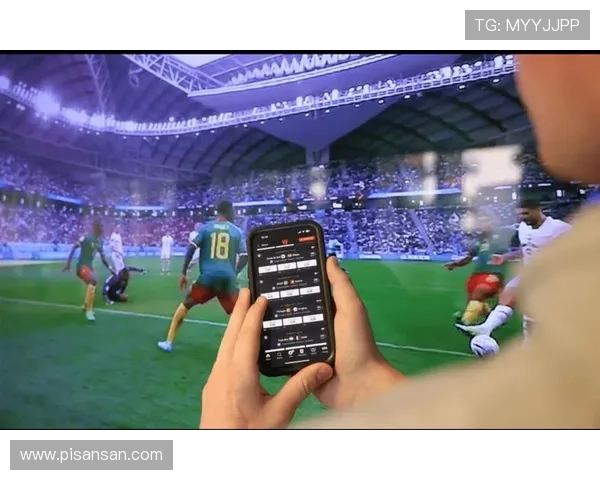 新利真人博彩，揭秘如何在博彩中获取更高的胜率与乐趣