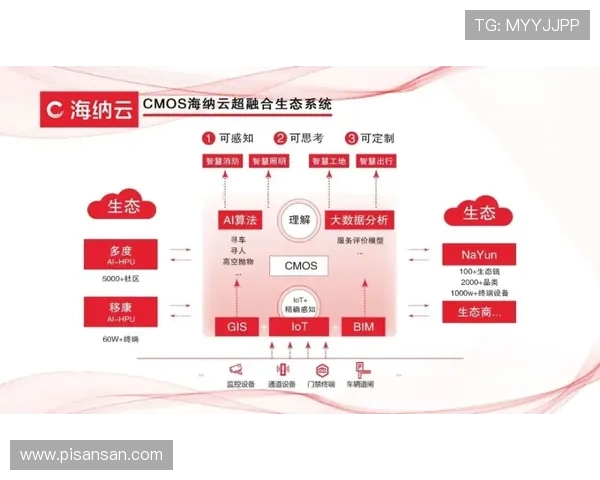 深入解析ag百家乐预测模型，结合实际案例指导玩家制定科学的投注策略
